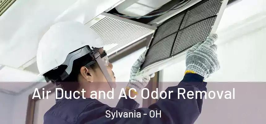 Air Duct and AC Odor Removal Sylvania - OH
