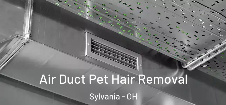 Air Duct Pet Hair Removal Sylvania - OH