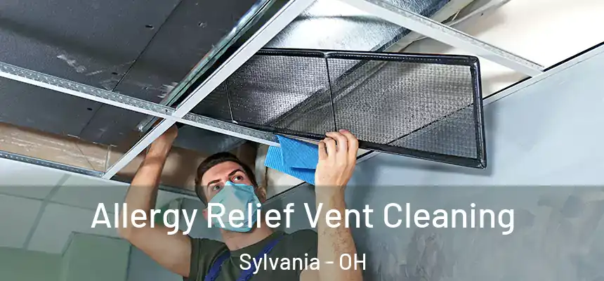 Allergy Relief Vent Cleaning Sylvania - OH