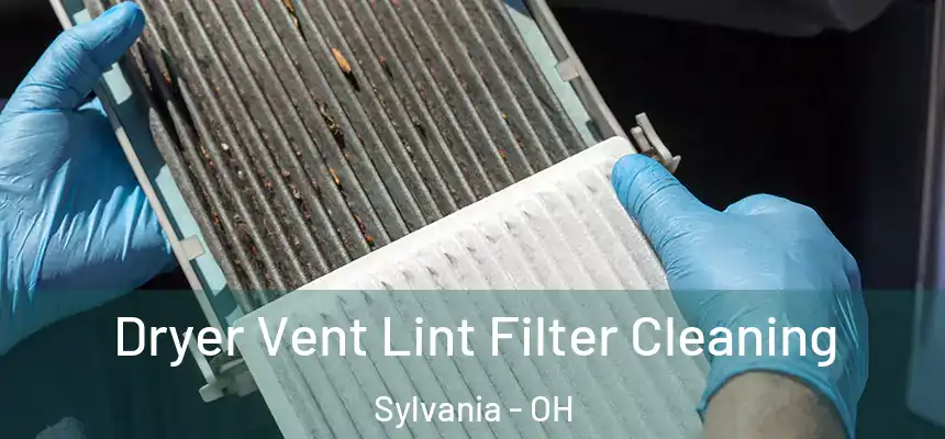  Dryer Vent Lint Filter Cleaning Sylvania - OH