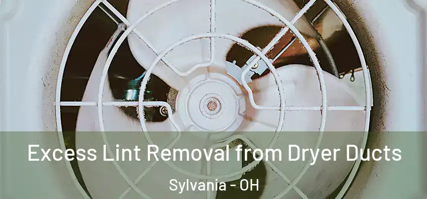 Excess Lint Removal from Dryer Ducts Sylvania - OH