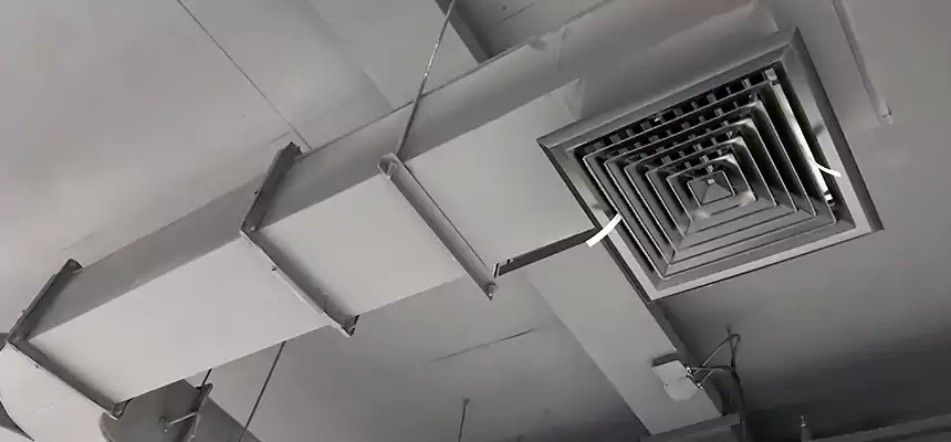 Restorative Allergy Relief Vent Cleaning – Coil, Blower & Housing Detail in Sylvania