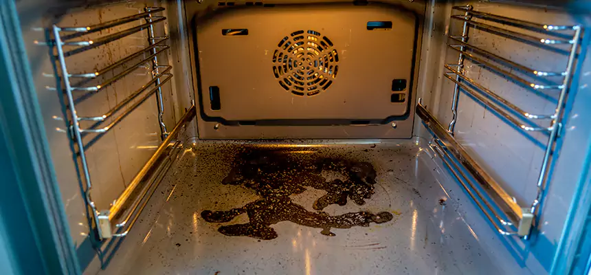 Our Dryer Vent Mold Cleaning Services in Sylvania, OH