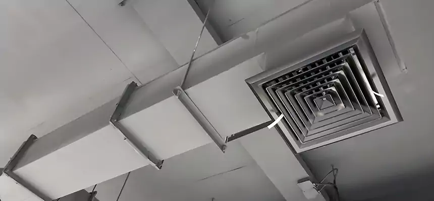 Our Rodent Droppings In Vents Services in Sylvania, OH