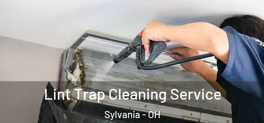 Lint Trap Cleaning Service Sylvania - OH