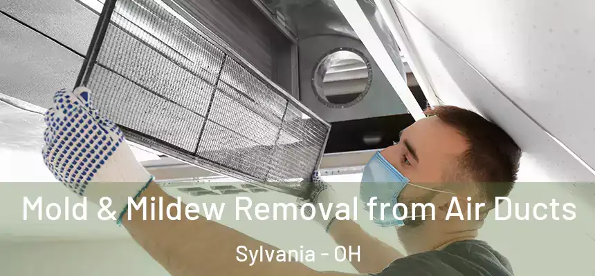  Mold & Mildew Removal from Air Ducts Sylvania - OH