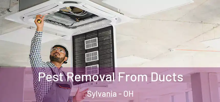  Pest Removal From Ducts Sylvania - OH