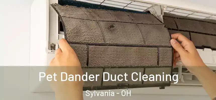 Pet Dander Duct Cleaning Sylvania - OH