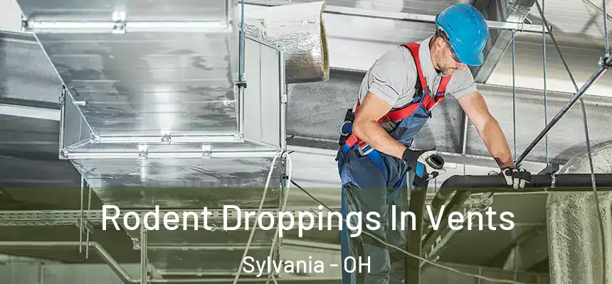  Rodent Droppings In Vents Sylvania - OH