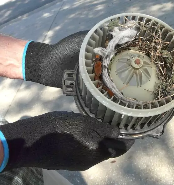 About Air Duct Mice Removal in Sylvania, OH