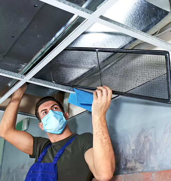 Professional Air Duct Pollen Cleaning in Sylvania, OH