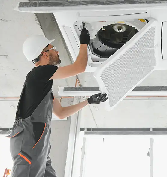 About Air Duct Rodent Removal in Sylvania, OH