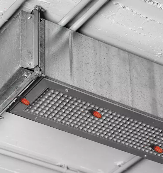 Affordable Insect Removal from Air Ducts in Sylvania, OH