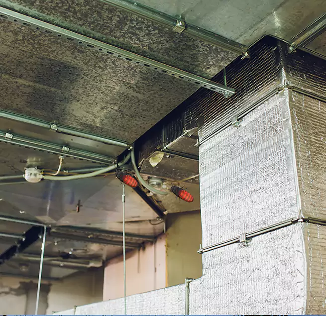 Why Homeowners & Businesses Trust Us Sylvania, OH?