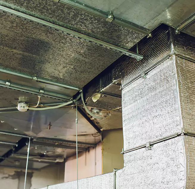 Why Homeowners & Businesses Trust Us in Sylvania, OH?