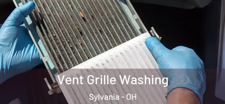  Vent Grille Washing Sylvania - OH